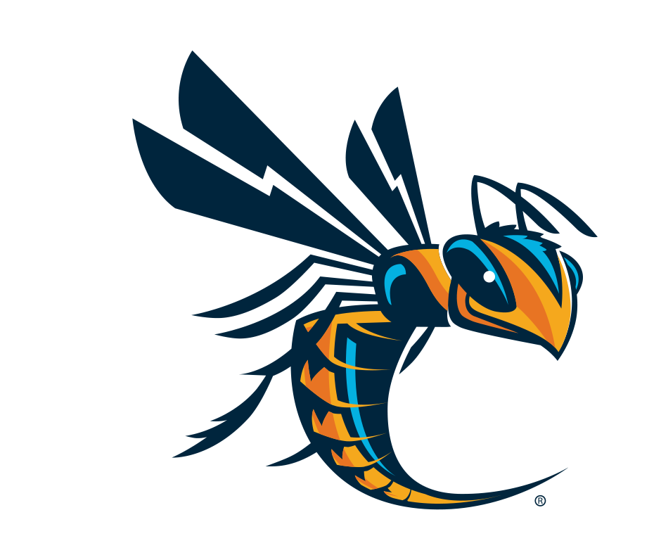 Cedarville Women's Soccer Camps
